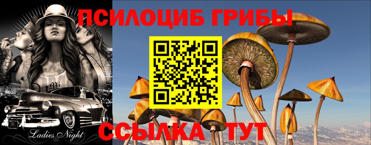 Белгород  Галлюциногенные грибы MAGIC MUSHROOMS  Галлюциногенные грибы прущие грибы  Вход с VPN 