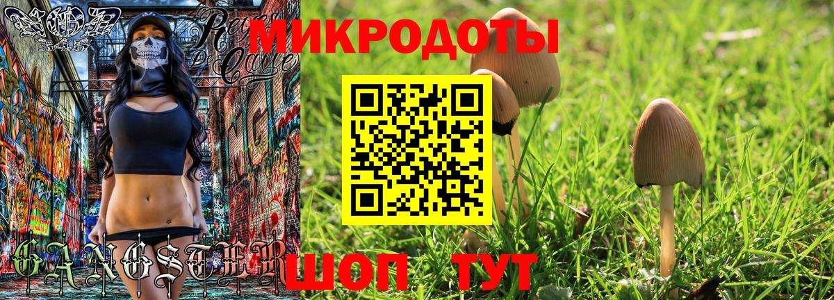 Галлюциногенные грибы Psilocybine cubensis Белгород